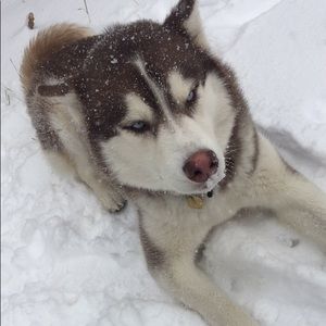 Meet your Posher, Aaron